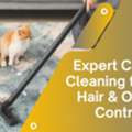 Tough On Pet Stains, Gentle On Carpets &ndash; Carpet Cleaning Butler