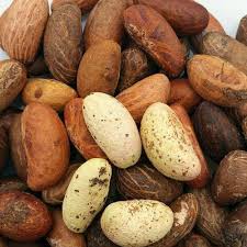 Nairobi, Health & Beauty Items, KES 2000,  Bitter Kola Nuts / Shea Butter