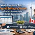 Why Is Choosing The Right Payroll Software Service In Canada So Important For Small Busine