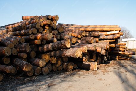 Dubai, Business, Affordable Wood Suppliers In Dubai Offering Quality Timber At Competitive Prices