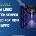 India Linux Dedicated Server Optimized For High Traffic