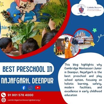 Mumbai, Daycare, Best Preschool In Najafgarh, Deenpur