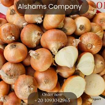 Ho Chi Minh City, Farm & Garden, Fresh Onion