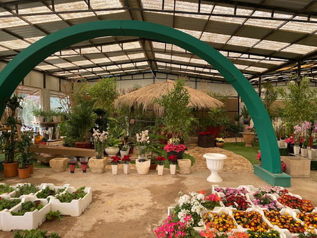 Al Maathar, Farm & Garden, SAR 35,  Flowers,Indoor&Outdoor Plants Are Available In Riyadh With Delivery-0551298565