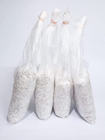 Mumbai, Farm & Garden, INR 199,  Milky Mushroom Spawn: Complete Guide To Cultivation, Uses, And Growing Practices In India