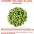 Premium Green Cardamom Exporter From India | Shagun Exporter