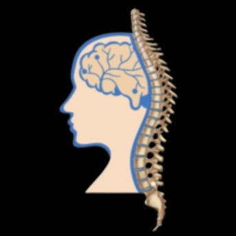 Mumbai, Health, Spine Surgeon, Neurosurgeon In Indore | Dr Sandeep Moolchandani