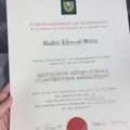 Buy Macquarie University Diploma Degree