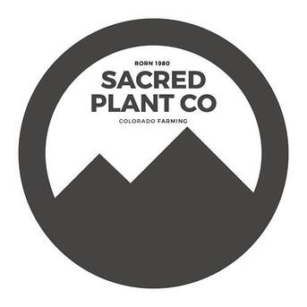 New York, Farm & Garden, USD 1,  Black Walnut Seeds For Planting | Sacred Plant Co