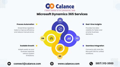 Paris, Software Development, Microsoft Dynamics 365 Services