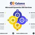 Microsoft Dynamics 365 Services
