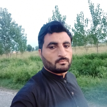 Peshawar, Job Seekers, Pharmacy Diploma