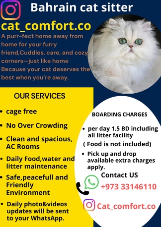Manama, Pet Sitting, Cat Boarding Service