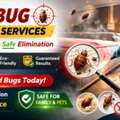 Termite Pest Control In Gurgaon | Best Anti Termite Treatment Services &ndash; Servicemantra
