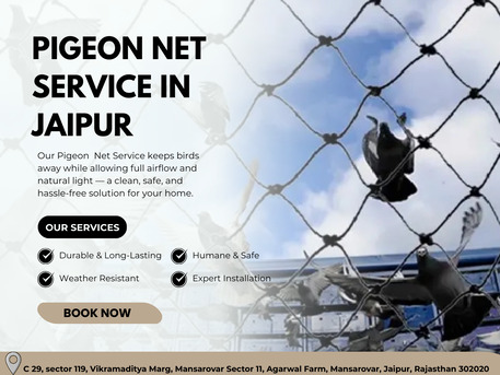 Jaipur, Business, Expert Pigeon Net Service In Jaipur For Apartments