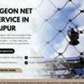 Expert Pigeon Net Service In Jaipur For Apartments