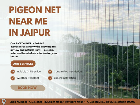 Jaipur, Business, Book Pigeon Net Near Me In Jaipur Experts