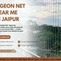 Book Pigeon Net Near Me In Jaipur Experts