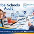 Comprehensive Tribal Schools Audit & Compliance Services