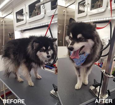 New York, Business, Hydro Massage Pooping Bath Garnet Valley