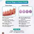 Cancer Stage Vs Grade | Best Oncologist In Bhubaneswar | Dr. Sunil Agrawala