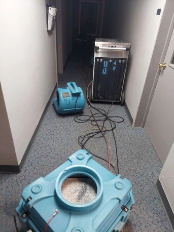 New York, Household, Colorado StainMaster Carpet Cleaners & Water Damage Restoration (Colorado Springs)