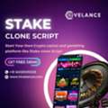 Launch Your Online Betting Platform With Hivelance&rsquo;s Stake Clone Script