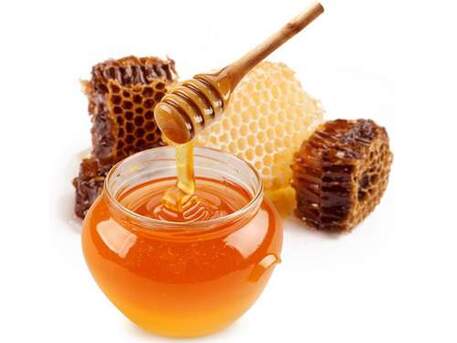 Jaipur, Wholesale Products, Forest Honey Suppliers In Rajasthan
