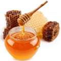 Forest Honey Suppliers In Rajasthan