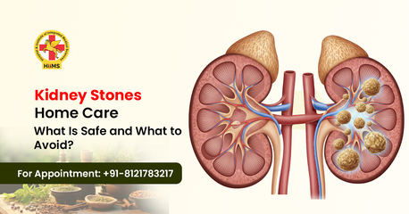Haryana, Health, Main Causes Of Kidney Stones Explained