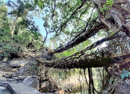 Kolkata, Travel, Book Kaziranga Shillong Cherrapunji Package Tour From Guwahati