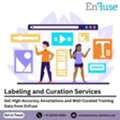 Get High-Accuracy Annotations And Well-Curated Training Data From EnFuse