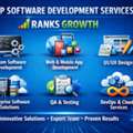 Top Software Development Services &ndash; Ranks Growth