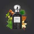 INR 3209,  Premium Unisex Perfumes &ndash; Luxury Fragrances For Everyone
