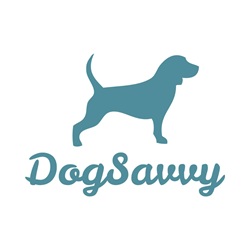 New York, Pet Sitting, Dog Savvy | Positive Dog Training