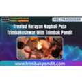 Trusted Narayan Nagbali Puja Trimbakeshwar With Trimbak Pandit