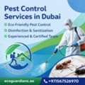 Pest Control Services In Dubai - Get Your Working Place Pest Free, Call Now!