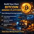 Launch Your Mining Platform Faster Using Custom Bitcoin Mining Script