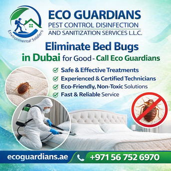 Dubai, Pest Control, Bed Bugs Treatment In Dubai - Make Your Working Place Bed Bugs Free!