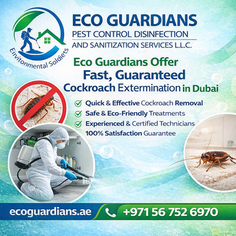 Dubai, Pest Control, Dubai Cockroach Extermination Services &ndash; Quick & Reliable Solutions
