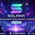 Launch Faster. Scale Smarter. Solana Blockchain Development &ndash; From $2500