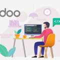 Odoo Developer