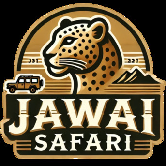 Jaipur, Travel, Best Leopard Safari