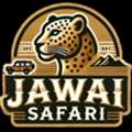 Best Leopard Safari