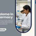 Build A Foundation In Medicine With A Diploma In Pharmacy