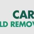 Carmel's Mold Removal Experts