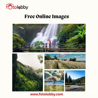 Haryana, Photography, Free Online Images