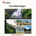 Free Online Images