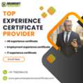 Genuine Experience Certificate Provider In Kochi