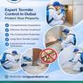 Termite Control Dubai: Protect Your Property With Eco Guardians&rsquo; Expert Solutions
